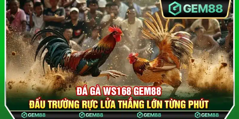 Đá gà WS168 Gem88 – Đấu trường rực lửa thắng lớn từng phút