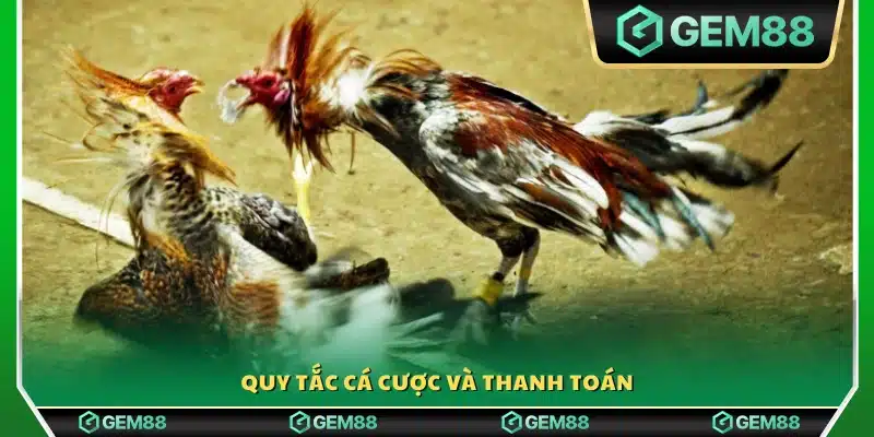 Hướng dẫn cược và cơ chế giao dịch tại Gem88