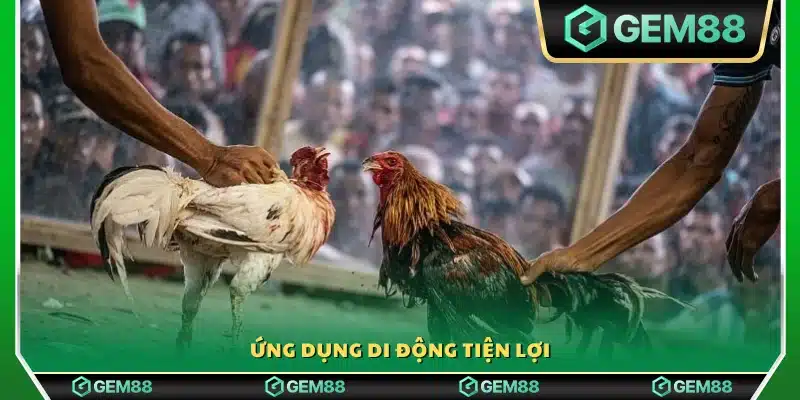 Ứng dụng di động thân thiện, dễ sử dụng