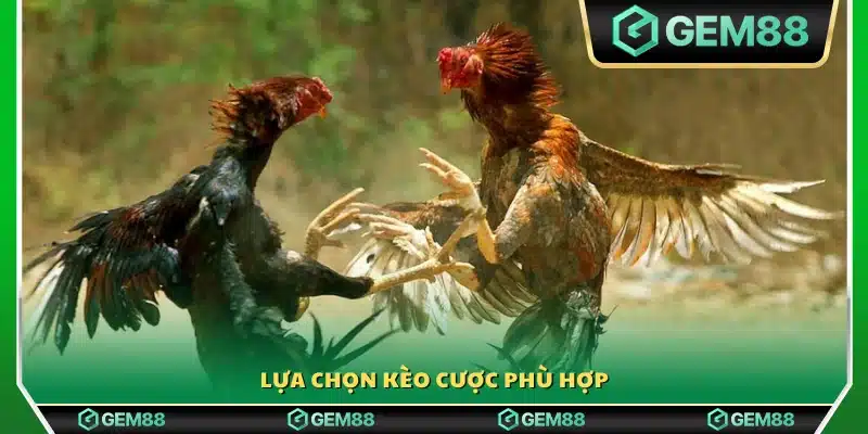 Chọn loại kèo thích hợp với chiến lược